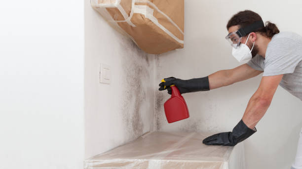 Professional Crawl Space Mold Removal technician working in Manasquan, NJ