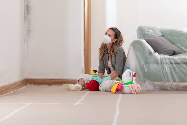 Reliable Crawl Space Mold Removal contractor in Manasquan, NJ by WQB Mold Removal